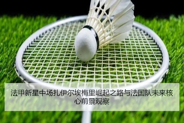 img_1779723242830_2264_1_616.jpg